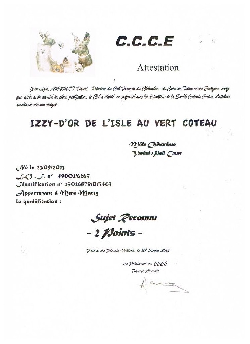 du pays de Gulliver - Izzy 