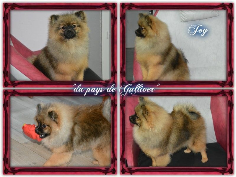 Joy 1 à 7mois